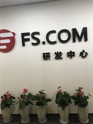 深圳市宇軒網(wǎng)絡技術有限公司武漢分公司（FS.COM）